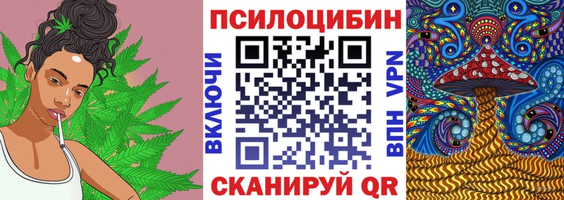 Галлюциногенные грибы мицелий  Рубцовск 