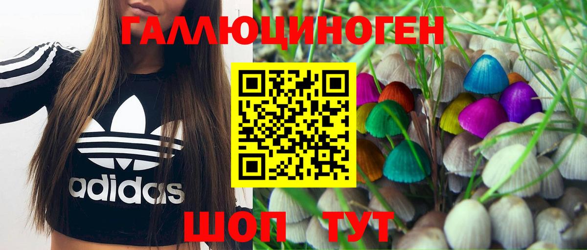Рубцовск  Псилоцибиновые грибы MAGIC MUSHROOMS  где продают   Вход с VPN  Галлюциногенные грибы мицелий 