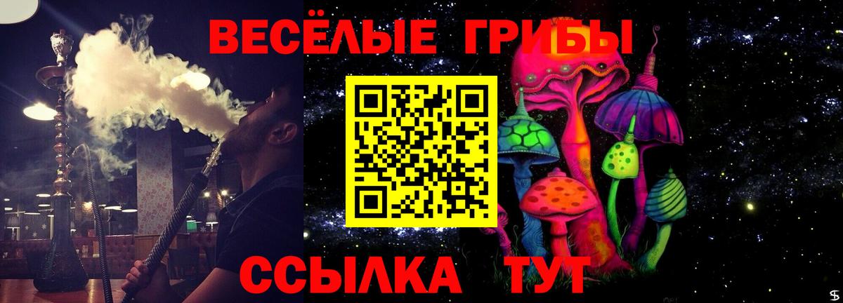 Галлюциногенные грибы прущие грибы Рубцовск