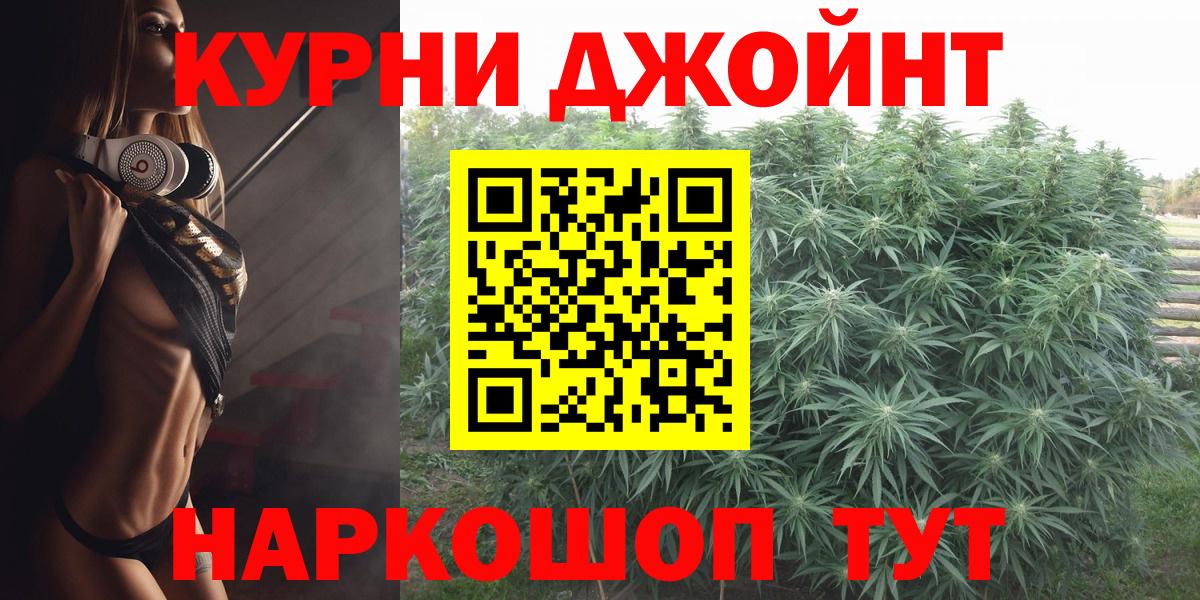 A PVP Рубцовск